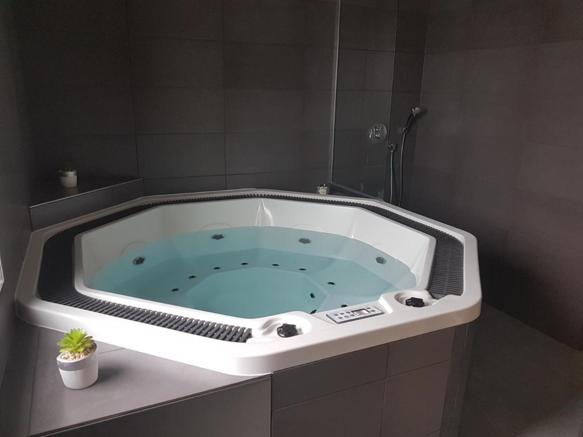 Wellness Hotel Harmonie Trebon Luaran gambar